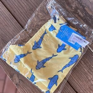 Boys swimsuit
